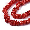 Natural Freshwater Shell Beads Strands SHEL-S278-041-3