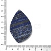 Natural Lapis Lazuli Cabochons G-Z120-02-3