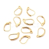 Ion Plating(IP) 304 Stainless Steel Leverback Earring Findings STAS-K233-04G-01-2