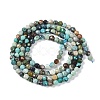Natural African Turquoise(Jasper) Beads Strands G-N342-29A-3