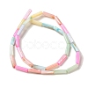 Rainbow Color Dyed Natural Freshwater Shell Beads Strands X1-SHEL-G018-02B-2