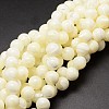 Natural Sea Shell Beads Strands SSHEL-K013-10mm-A-1