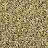 TOHO 11/0 Round Beads SEED-JPTR11-PF0559-2