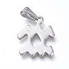 Non-Tarnish 304 Stainless Steel Pendants LS-STAS-L210-06L-P-01-2