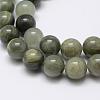 Natural Green Rutilated Quartz Beads Strands G-P325-03-8mm-1