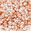 Baking Paint Glass Seed Beads X1-SEED-F006-01A-10-3