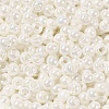 Glass Seed Beads SEED-H002-E-A121-3