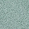 11/0 FGB Grade A Baking Paint Glass Seed Beads X-SEED-N001-A-1031-2