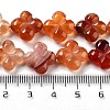 Natural Red Agate Beads Strands G-P520-A06-01-5