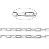 Tarnish Resistant 304 Stainless Steel Paperclip Chains CHS-I005-03P-1