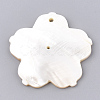 Freshwater Shell Pendants SHEL-S274-16-3