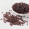 8/0 Glass Seed Beads X-SEED-A005-3mm-56-1