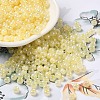 Glass Seed Beads SEED-H002-H-1302-1