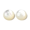 Natural White Shell Cabochons SSHEL-M022-01D-1