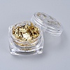 Foil Flakes X-DIY-E032-02-3