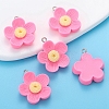 Resin Pendants PW-WG225B2-05-1