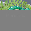 Natural Green Aventurine Pendants G-SC0001-20D-5