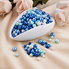 12 Strands 12 Style Baking Paint Pearlized Glass Pearl Round Bead Strands HY-CW0001-02-5
