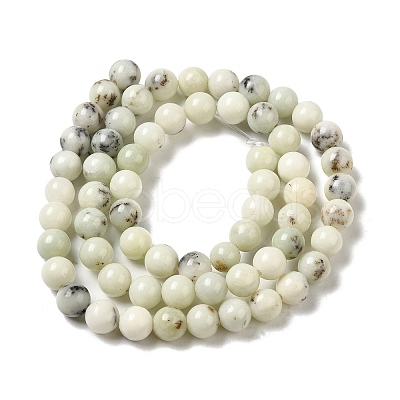 Natural Dendritic Jasper Beads Strands G-H298-A15-02-1