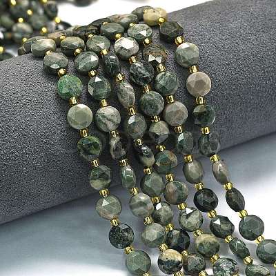 Natural Green Wood Lace Stone Wooden Jasper Beads Strands G-C116-A02-02-1