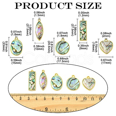 5Pcs 5 Styles Natural Paua Shell Pendants KK-CJ0003-10-1