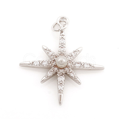 Brass Micro Pave Cubic Zirconia Charms ZIRC-G169-06P-1