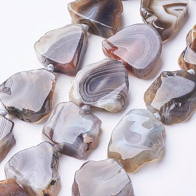 Natural Botswana Agate Beads Strands G-F506-10-1
