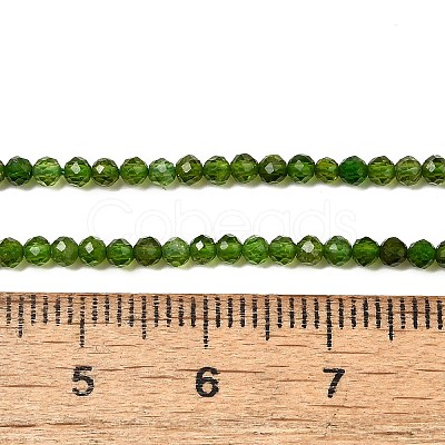 Natural Green Diopside Beads Strands G-NH0046-A01-01-1