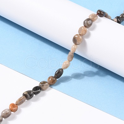 Natural Black Sunstone Beads Strands G-G018-03A-1