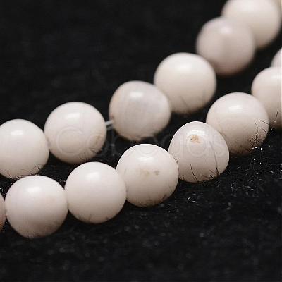 Natural White Crazy Lace Agate Bead Strands G-D840-55-4mm-1