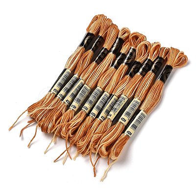 10 Skeins 6-Ply Polyester Embroidery Floss OCOR-K006-A64-1