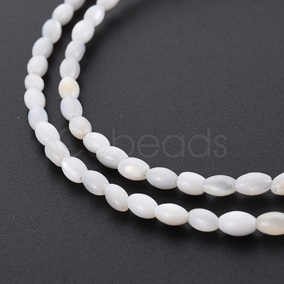 Natural Freshwater Shell Beads Strands SHEL-N027-08A-1