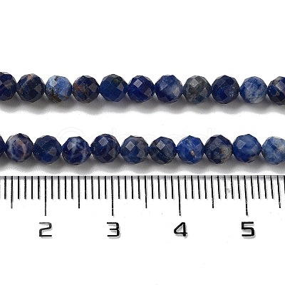 Natural Sodalite Beads Strands G-B088-C03-04-1