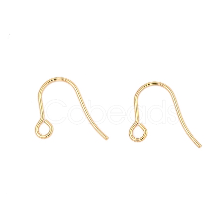 316 Surgical Stainless Steel Earring Hooks STAS-A056-11G-B-1