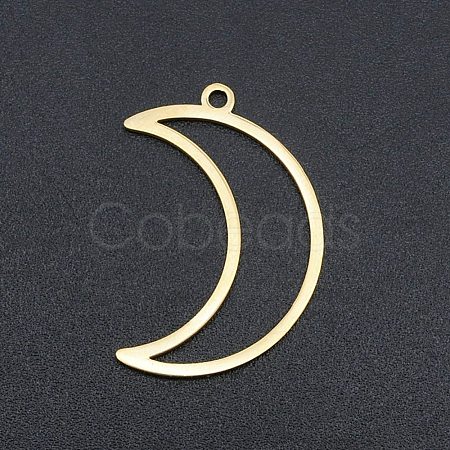 Ion Plating(IP) 201 Stainless Steel Pendants STAS-R111-LA137-1