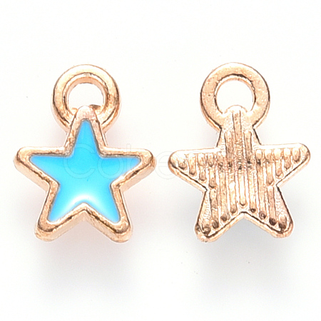 Alloy Enamel Charms X-ENAM-S121-029-1