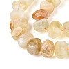 Natural Citrine(Heated) Beads Strands G-N347-18A-03-4