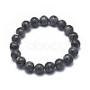 Natural Larvikite Bead Stretch Bracelets BJEW-K212-B-046-4