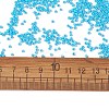 12/0 Grade A Round Glass Seed Beads SEED-Q009-FJX08-3