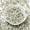 Baking Paint Glass Seed Beads SEED-F006-01A-05-2