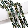 Natural African Turquoise(Jasper) Beads Strands G-G980-33B-2