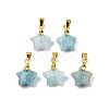 Natural Amazonite Charms X-G-N326-142-08-1