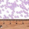 8/0 Glass Seed Beads SEED-Z001-C-E16-4