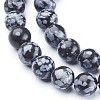 Natural Snowflake Obsidian Beads Strands X-GSR009-2