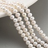 Natural Cultured Freshwater Pearl Beads Strands LS-PEAR-C003-39-1