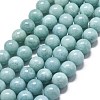 Natural Malaysia Jade Beads Strands G-L645-A01-10mm-25-1