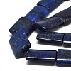 Natural Lapis Lazuli Beads Strands G-K311-07B-3