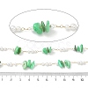 Handmade Natural Shell & ABS Imitation Beaded Chains CHS-F025-13G-05-3