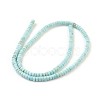 Natural Howlite Beads Strands X-G-P398-F-1