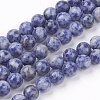 Natural Blue Spot Jasper Bead Strands G-R193-15-6mm-2